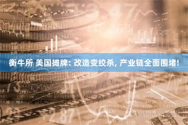 衡牛所 美国摊牌: 改造变绞杀, 产业链全面围堵!