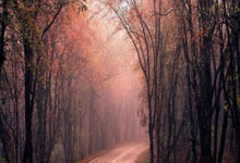 正规的股票杠杆公司:炒股配资最新-权益基金密集上新、发起式产品扎堆成立 公募“抢跑”哪些赛道？